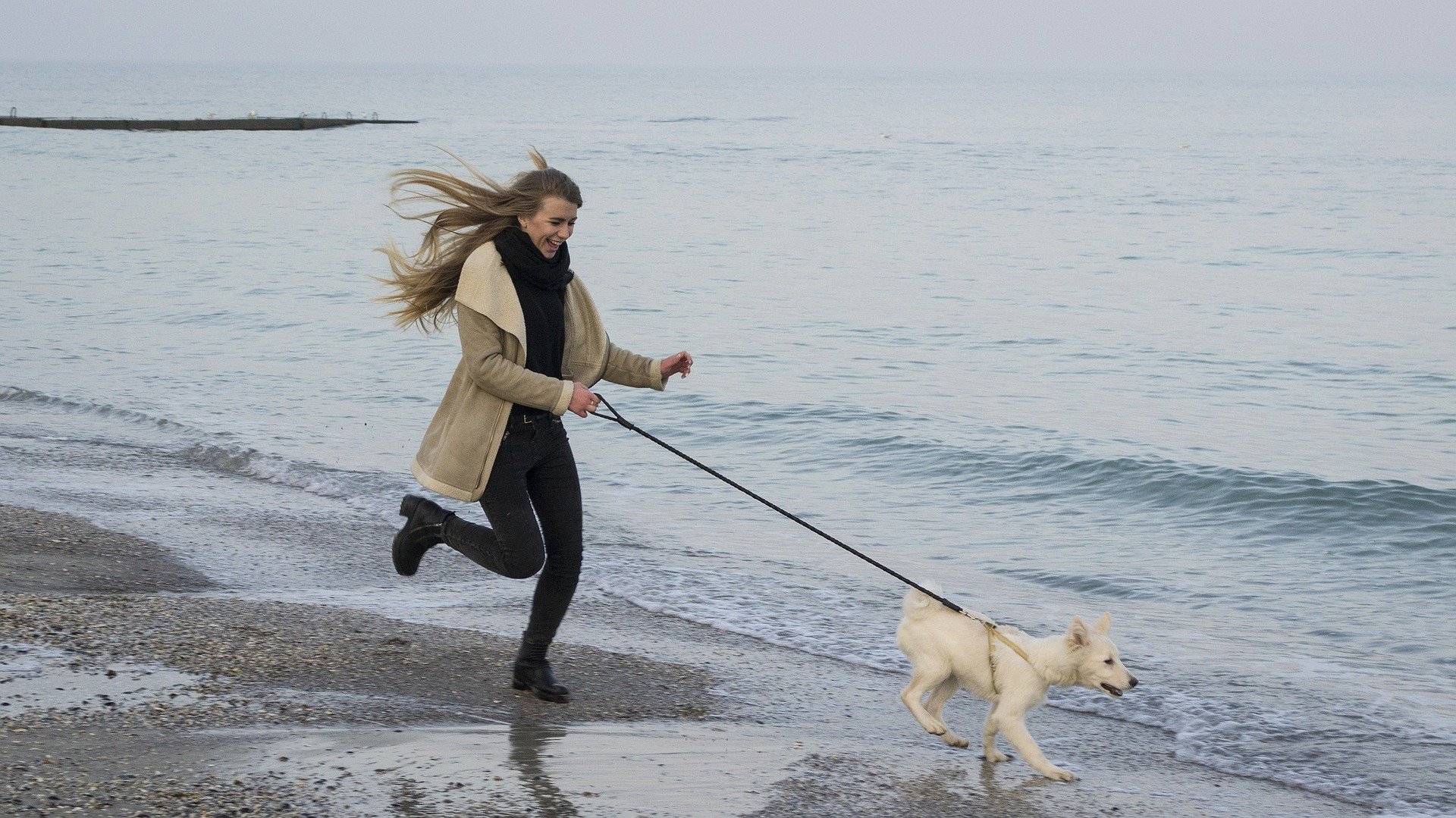 6 Lecciones Espirituales que mi Perro Me Enseñó